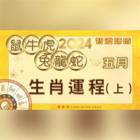 2024兔運程|生肖兔: 性格，愛情，2024運勢，生肖1987，1999，2011